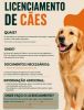 Licenciamento de C&atilde;es ????